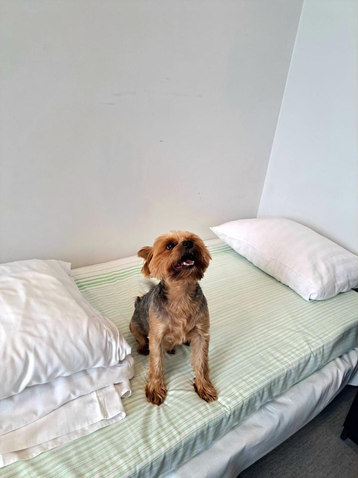 Jaunamuiza Apartamenti Valmiera Bagian luar foto